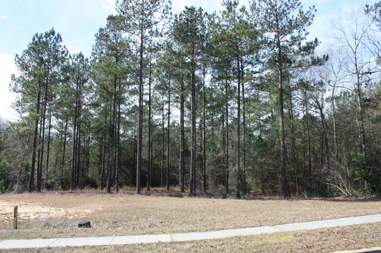 Bellegrass Subdivision, Hattiesburg, MS Lot H-21