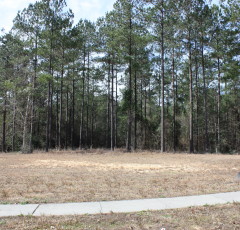 Lot H-22, Bellegrass Subdivision, Hattiesburg, MS