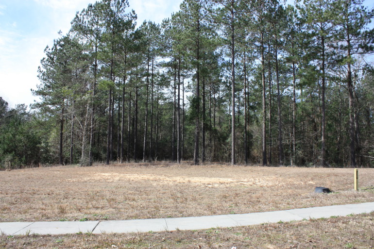 Lot H-22, Bellegrass Subdivision, Hattiesburg, MS