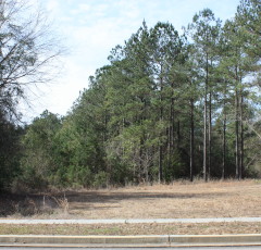 Lot H-23, Bellegrass Subdivision, Hattiesburg, MS