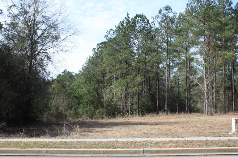 Lot H-23, Bellegrass Subdivision, Hattiesburg, MS