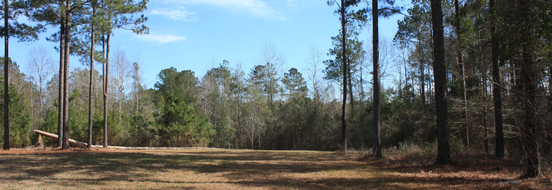 Lot H-24, Bellegrass Subdivision, Hattiesburg, MS