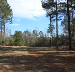 Lot H-24, Bellegrass Subdivision, Hattiesburg, MS