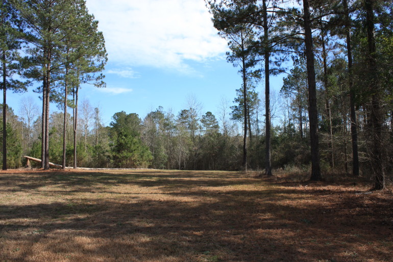 Lot H-24, Bellegrass Subdivision, Hattiesburg, MS