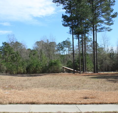 Lot H-23, Bellegrass Subdivision, Hattiesburg, MS