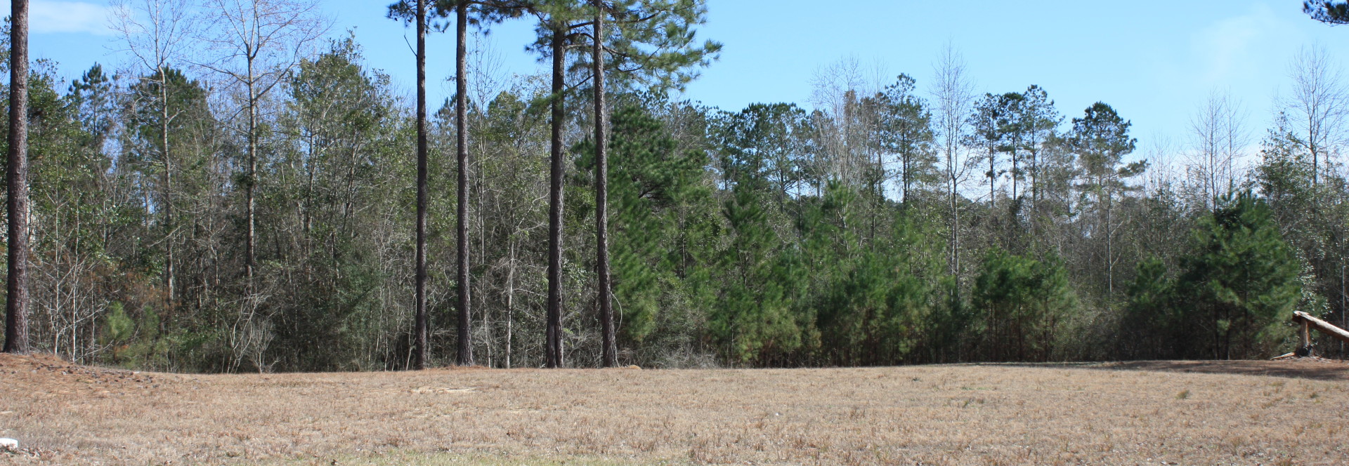 Lot H-26, Bellegrass Subdivision, Hattiesburg, MS