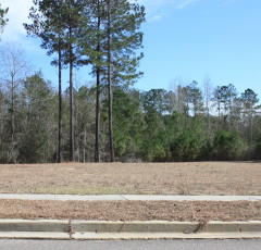 Lot H-26, Bellegrass Subdivision, Hattiesburg, MS