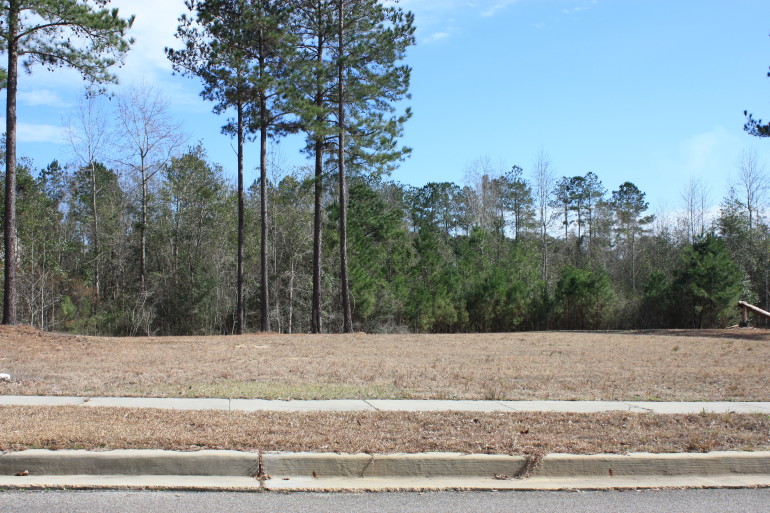 Lot H-26, Bellegrass Subdivision, Hattiesburg, MS