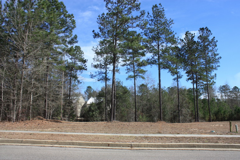 Lot H-27, Bellegrass Subdivision, Hattiesburg, MS