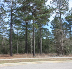 Lot J-10, Bellegrass Subdivision, Hattiesburg, MS