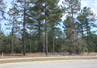 Lot J-10, Bellegrass Subdivision, Hattiesburg, MS