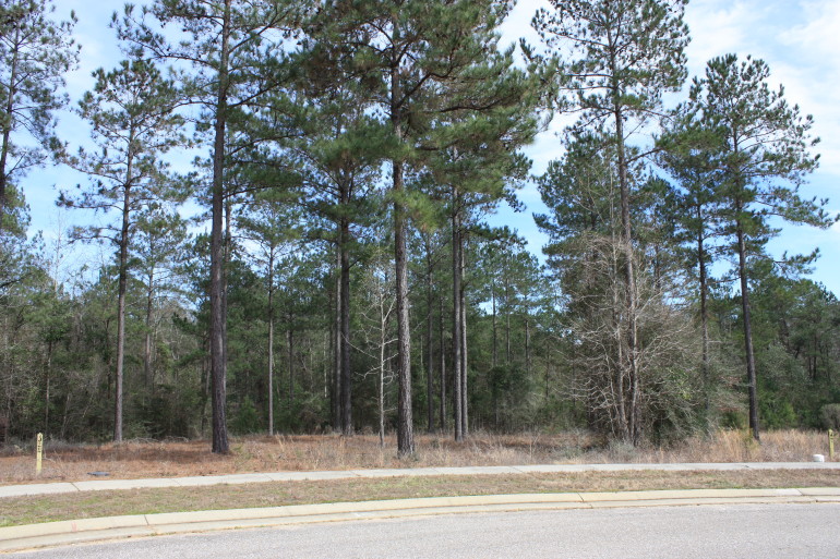 Lot J-10, Bellegrass Subdivision, Hattiesburg, MS