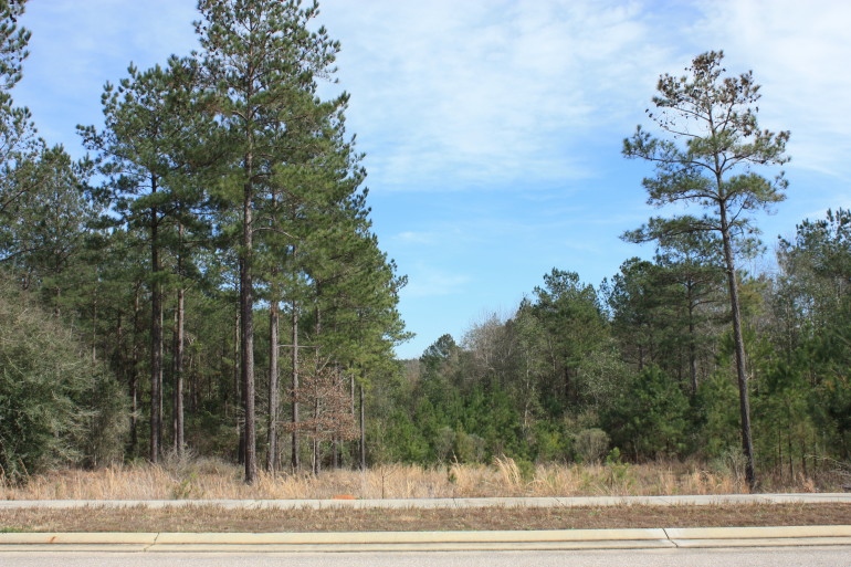 Lot J-11, Bellegrass Subdivision, Hattiesburg, MS