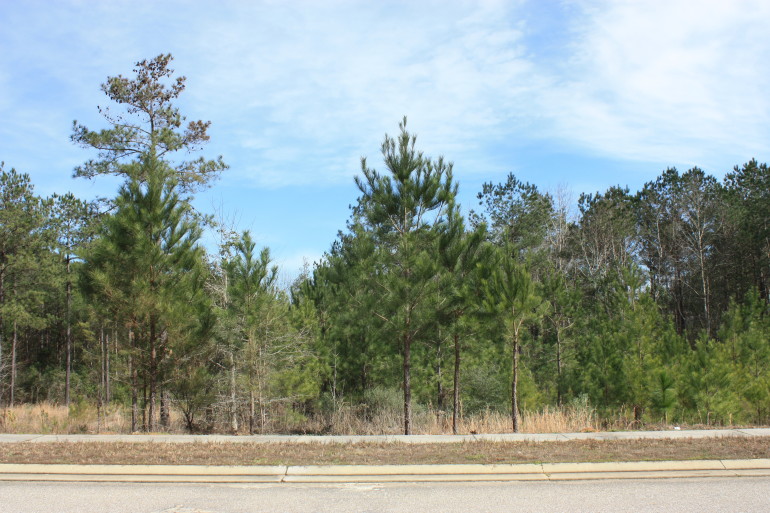 Lot H-22, Bellegrass Subdivision, Hattiesburg, MS